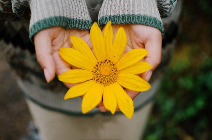 5 ngày Âm lịch này, được quý nhân che chở - Hình 3 5 ngay Am lich nay, duoc quy nhan che cho-Hinh-3