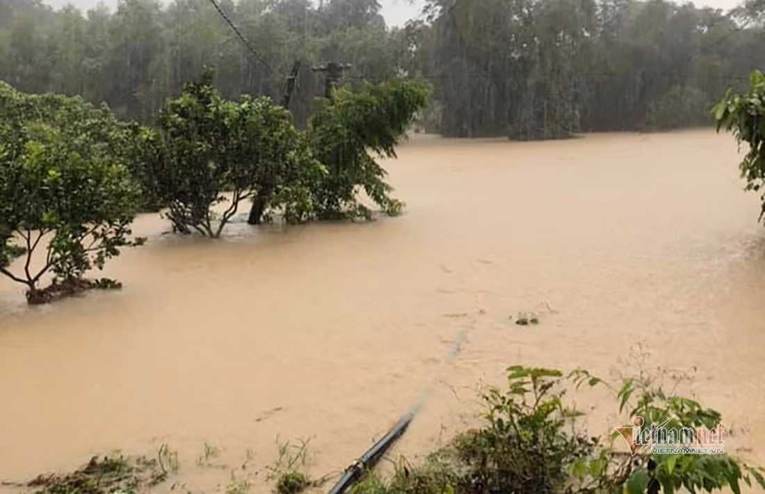 Mua lon, ho dap o Nghe An xa lu khien hang tram nha dan bi ngap-Hinh-2