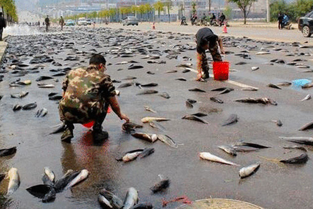 Tai sao co nhung con mua trut ca, nhen, bo... ao ao xuong dat?