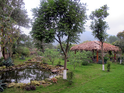 Không gian trong ngôi nhà được thiết kế theo hướng mở để đón ánh nắng và gió trời. Phía trong ngôi nhà được lắp trang thiết bị hiện đại với đầy đủ tiện nghi: ngoài các phòng ngủ, phòng khách, phòng ăn, gia chủ còn cho xây bể bơi riêng, một phòng thu hiện đại, phòng giải trí của gia đình (xem phim, nghe nhạc)… Ảnh: HNMO.