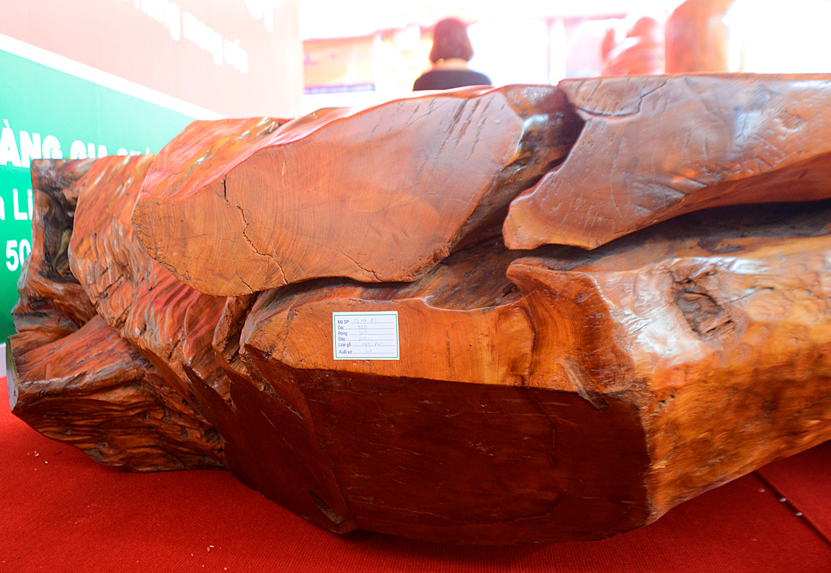 Chiếc phản gỗ có đường vân đẹp, kích thước lớn...