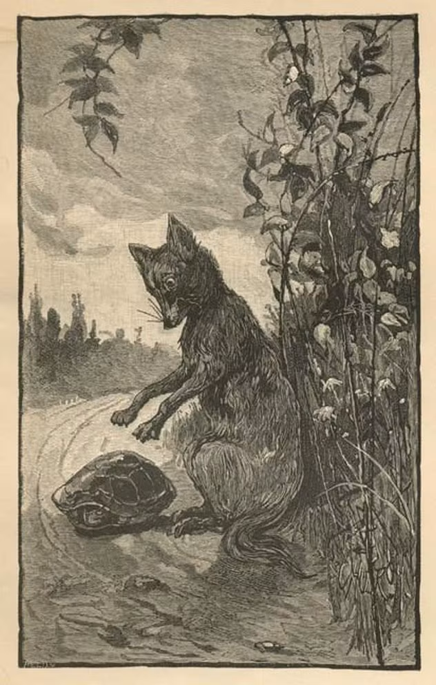 Truyện dân gian của rất nhiều nước đều có sự góp mặt của loài cáo. Tuy nhiên, đáng buồn là chúng thường sắm vai phản diện.