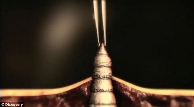 Ngay sau đó cô đã được chồng mình đưa tới bệnh viện để kiểm tra.