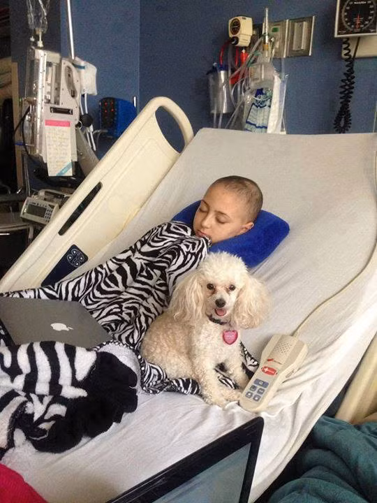 Bác sĩ đã đề nghị gia đình Talia cấy ghép tủy như một phương án có thể níu kéo thêm cuộc sống nhưng cô bé quyết định không điều trị xa hơn, đồng nghĩa với việc đối diện với nhiều ảnh hưởng đau đớn, mà tận hưởng những ngày còn lại của cuộc sống.