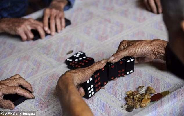 Hơn nữa, ngôi làng Chengmai không có nhiều khu công nghiệp, khí hậu trong lành cũng là những yếu tố góp phần vào tuổi thọ của dân làng.