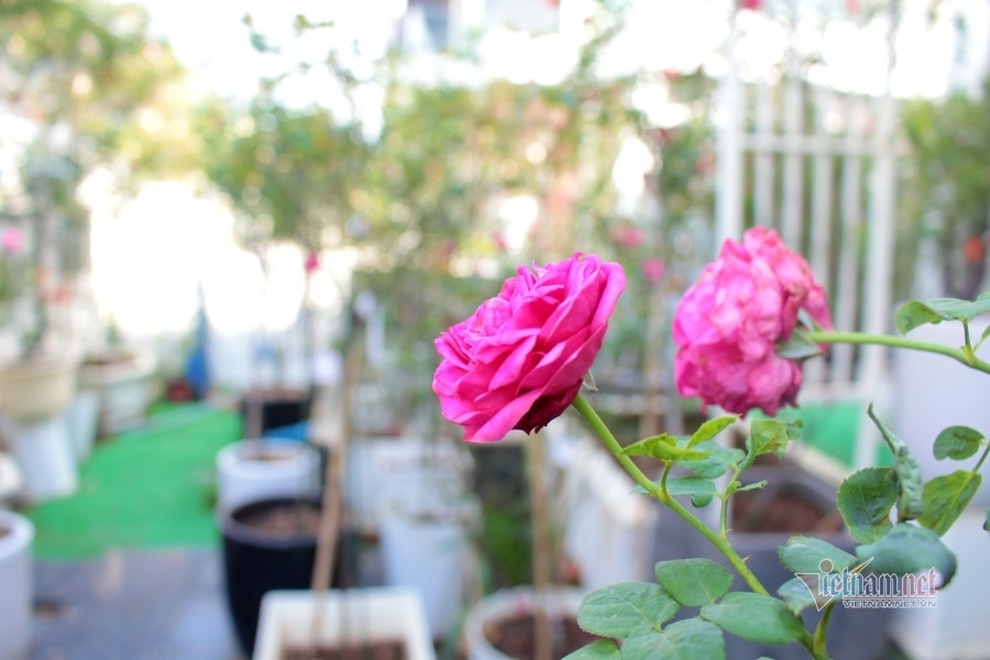 Sau 3 nam ly hon, toi van cho vo cu quay lai va xin tai hon-Hinh-2