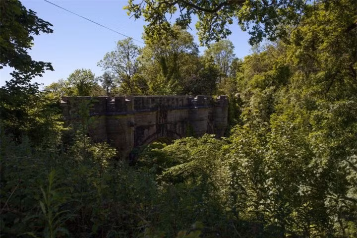 Giai ma cay cau bi an khien cho loai cho cu di qua la lao dau tu tu-Hinh-6