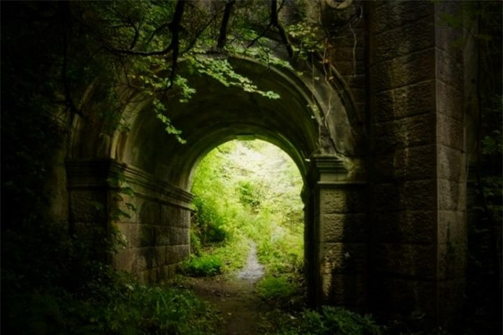 Giải mã cây cầu bí ẩn khiến cho loài chó cứ đi qua là lao đầu tự tử - Hình 5 Giai ma cay cau bi an khien cho loai cho cu di qua la lao dau tu tu-Hinh-5