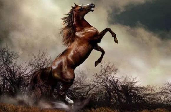 Tuan moi (24/1 - 30/1): Top 3 con giap thang tien vu vu trong cong viec-Hinh-2