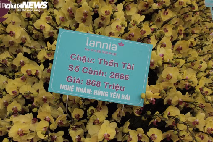 Chau lan ho diep khong lo duoc cam suot 3 ngay, gia gan 1 ty dong-Hinh-2