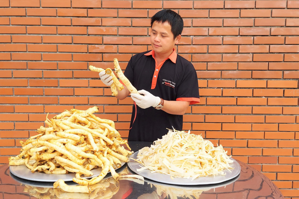 Làm mứt từ “nhân sâm người nghèo” bán “mỏi tay” ngày giáp Tết - Hình 5 Lam mut tu “nhan sam nguoi ngheo” ban “moi tay” ngay giap Tet-Hinh-5