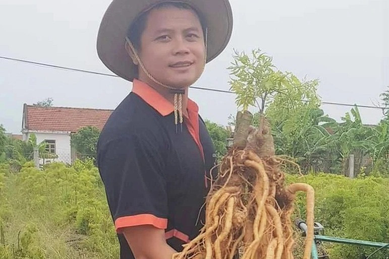 Làm mứt từ “nhân sâm người nghèo” bán “mỏi tay” ngày giáp Tết Lam mut tu “nhan sam nguoi ngheo” ban “moi tay” ngay giap Tet