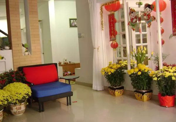 Bày cây cảnh Tết nên chú ý 5 điểm này để hút tài lộc Bay cay canh Tet nen chu y 5 diem nay de hut tai loc