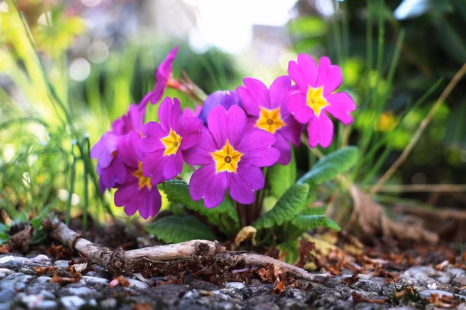 Tre sinh vao 4 khung gio Am lich nay tu nho gap nhieu may man