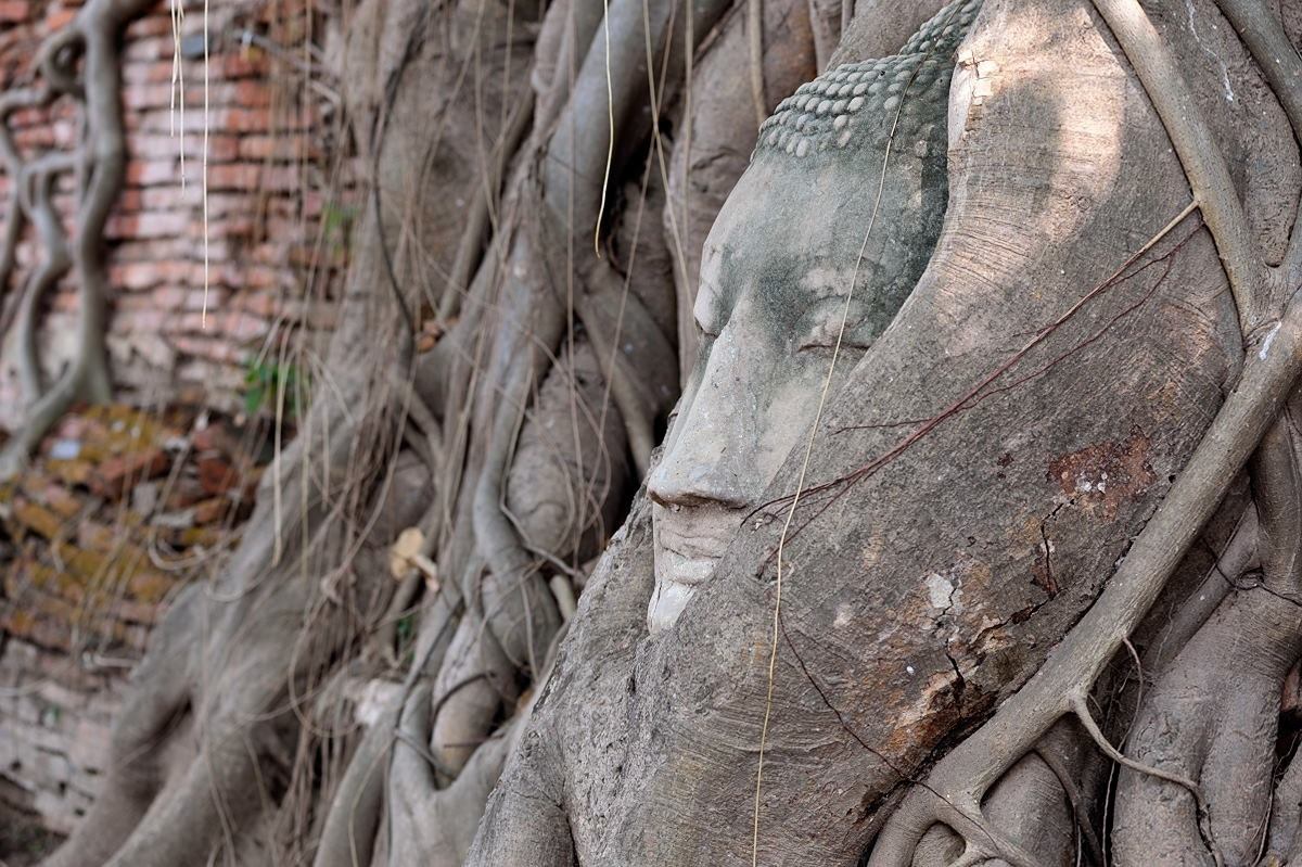 Có lẽ đầu tượng này đã từng thuộc về một bức tượng tạo hình Đức Phật đang thiền định. Nét mặt của bức tượng toát lên phong thái ung dung tự tại của một con người đã rũ bỏ bụi trần. Ảnh: BKK Tours.