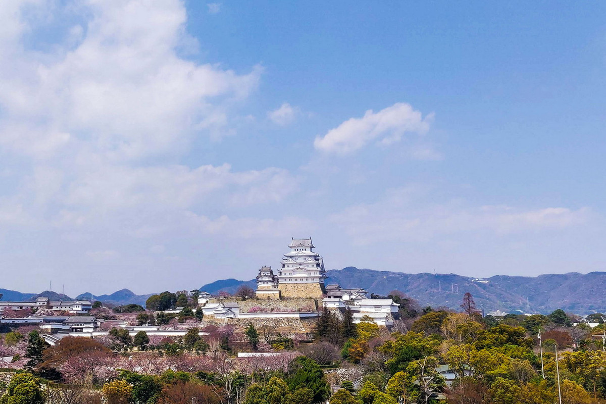 Điểm nhấn của lâu đài là tòa tháp chính kỳ vĩ gồm một tầng hầm và 5 tầng nổi vươn lên trời xanh. Ảnh: Sightseeing Express.