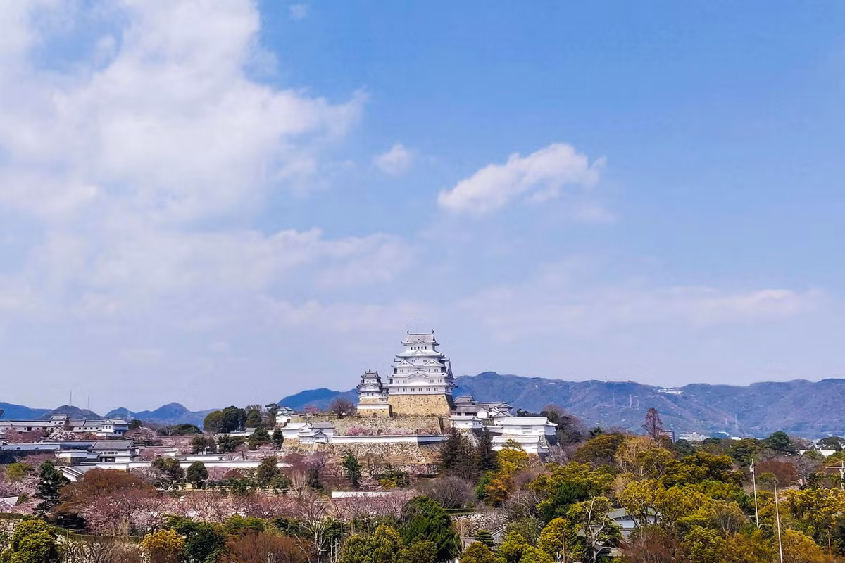 Điểm nhấn của lâu đài là tòa tháp chính kỳ vĩ gồm một tầng hầm và 5 tầng nổi vươn lên trời xanh. Ảnh: Sightseeing Express.