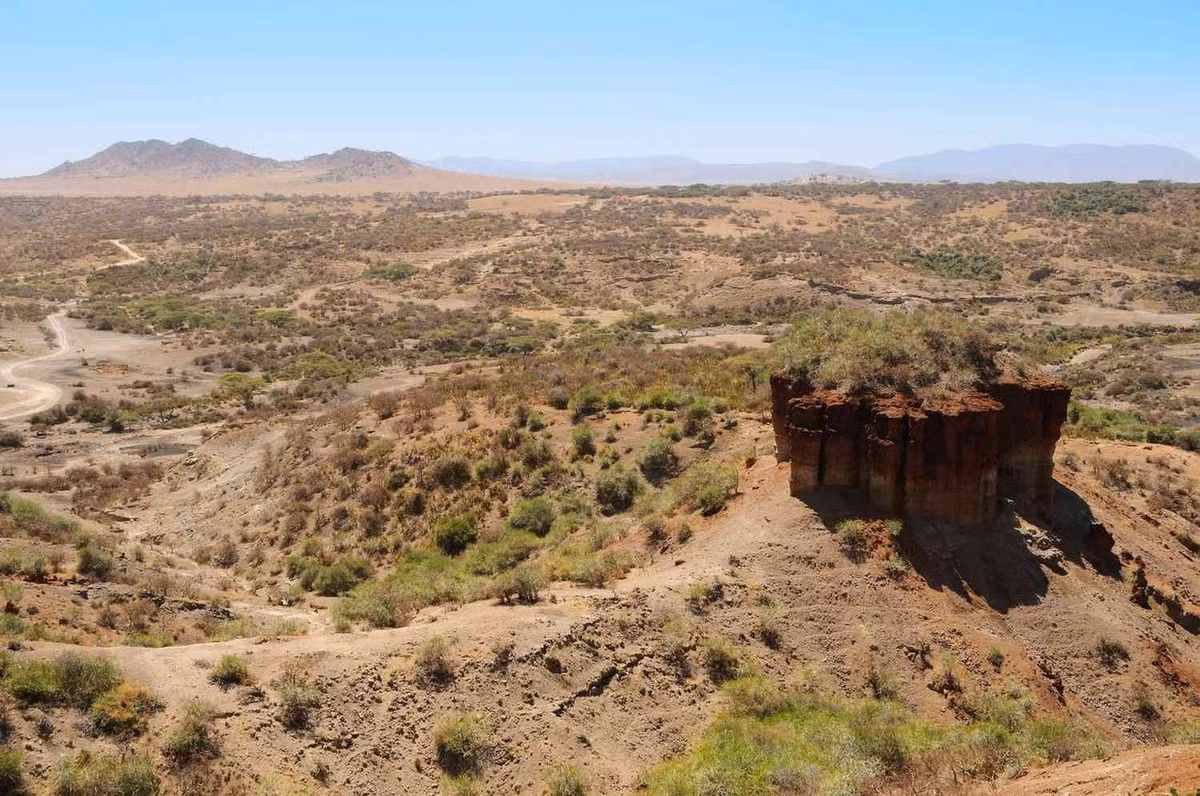 Olduvai Gorge (Tanzania) là một trong những địa điểm khảo cổ quan trọng nhất trên Trái Đất, vì đây là nơi các nhà khoa học tìm thấy những bằng chứng vô giá về sự tiến hóa của con người từ 1,9 triệu năm trước. Ảnh: TripSavvy.