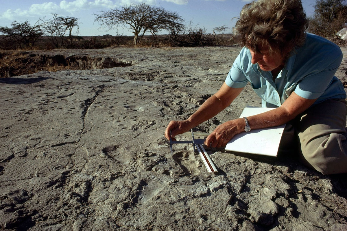 Từ năm 1976, vùng đất Laetoli ở Tanzania đã được cả thế giới biết đến nhờ việc phát hiện ra hàng loạt dấu chân của người tiền sử được lưu lại trên tro núi lửa. Kết quả xác định niên đại ở nơi đây cho thấy, loài người đã bắt đầu đứng thẳng từ ít nhất 3,6 triệu năm trước. Ảnh: WiredPen.