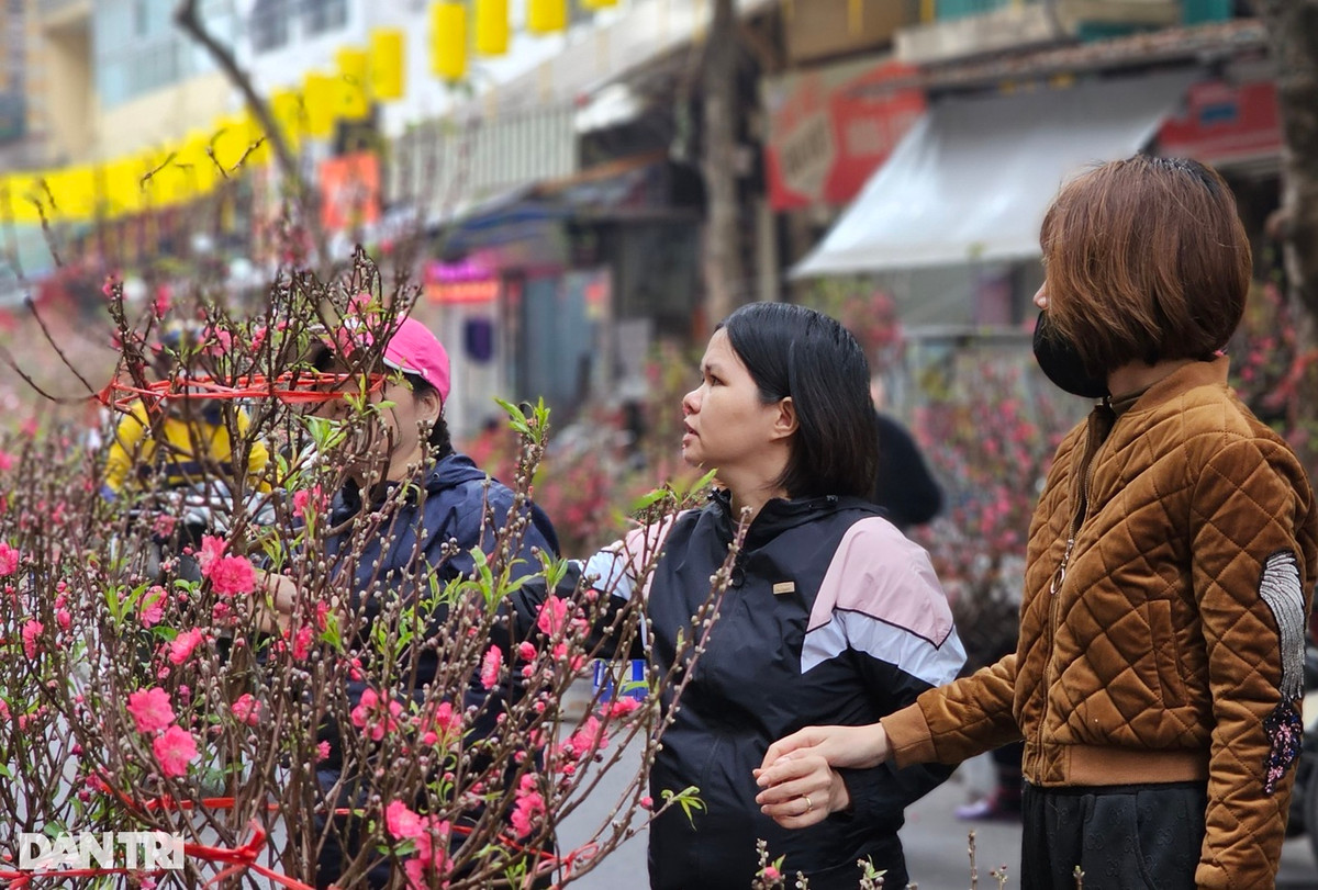 Thi truong Tet: Khach thu quan ao ca tieng chua mua; hoa tuoi dat hang-Hinh-2