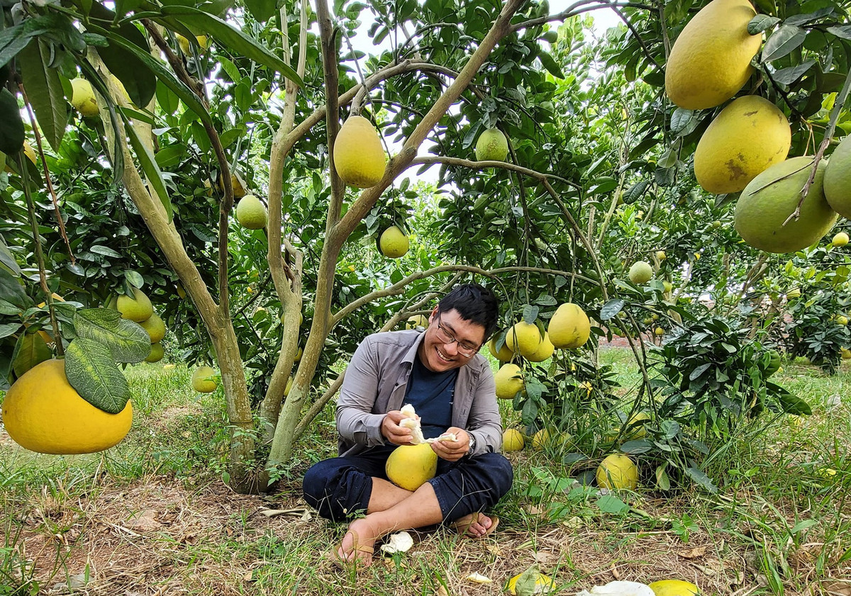 9X làm lại từ hai bàn tay trắng, mỗi năm doanh thu 4-5 tỷ 9X lam lai tu hai ban tay trang, moi nam doanh thu 4-5 ty