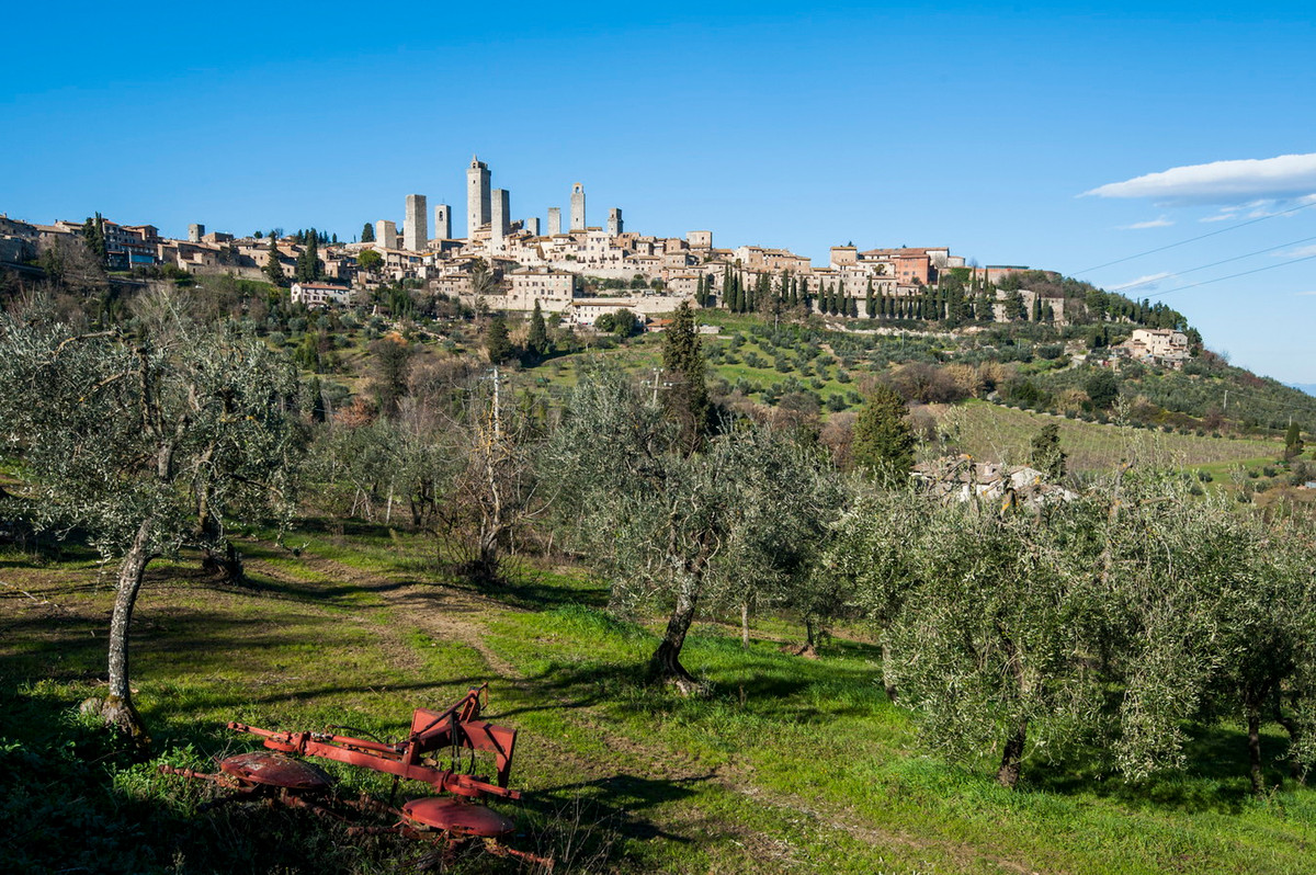 Cho đến ngày nay, chỉ còn 14 trong số hơn 70 tòa tháp ngày xưa còn trụ lại trước các biến động của thiên tai, chiến tranh và quản lý đô thị. Ảnh: Andiamo.it.
