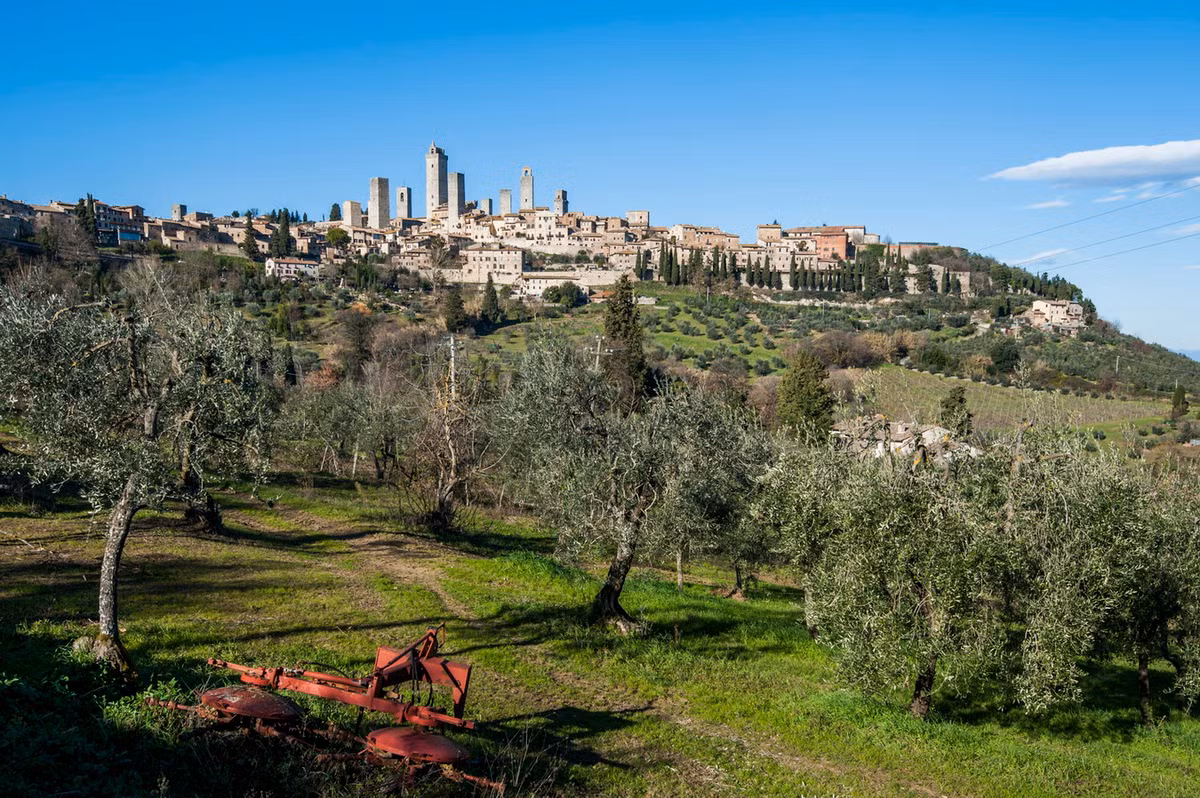 Cho đến ngày nay, chỉ còn 14 trong số hơn 70 tòa tháp ngày xưa còn trụ lại trước các biến động của thiên tai, chiến tranh và quản lý đô thị. Ảnh: Andiamo.it.