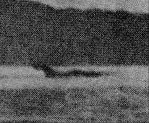 4. Kusshii là một con quái vật khổng lồ được cho là sống ở hồ Kussharo, một hồ nước ngọt lớn trên đảo Hokkaido. Theo các nhân chứng, Kusshi dài 10-20 mét, có bướu trên lưng, cổ dài và trên đầu có một cặp sừng.