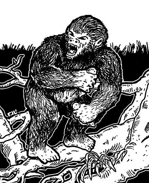 1. Hibagon là một giống người đầy lông lá, cao khoảng 1,7m, sinh sống tại khu vực xung quanh núi Hiba ở miền bắc Hiroshima. Rất nhiều nhân chứng đã nhìn thấy sinh vật này đầu thập niên 1970. Từ năm 1971 đến 1973, rất nhiều người đã đổ về đây săn lùng sinh vật giống người bí ẩn.