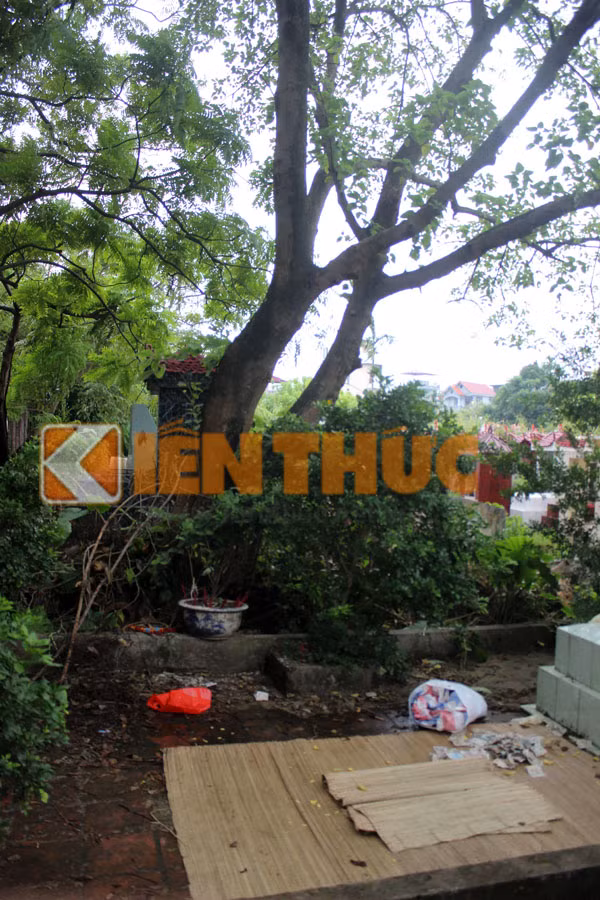 Thi thể của nạn nhân tại hiện trường treo trên cành cây với một sợi dây cáp điện nhỏ. Một chân duỗi thẳng xuống đất, chân còn lại co lên đống củi khô chất đống dưới gốc cây. Không chỉ vậy, cả 2 chân và 2 tay của nạn nhân còn bị thâm tím, phía bên mặt phải bị thâm quầng.