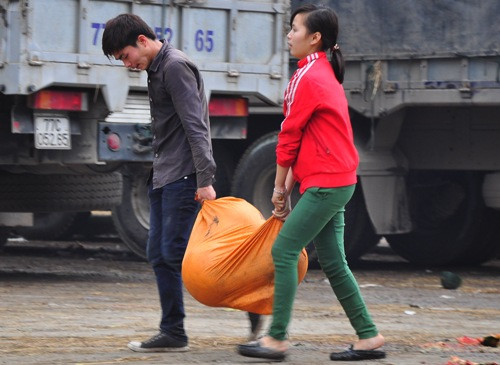 Theo một số người dân, sau khi mót những người này lại bán cho các lái buôn thu mua với giá 7 nghìn đến 10 nghìn/quả. Trung bình mỗi ngày có người kiếm được cả tiền triệu.