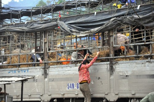 Trung bình mỗi xe dưa hơn 20 tấn bị trả lại ít cũng từ 1-2 tấn, nhiều xe bị trả lại từ 4-5 tấn dưa. Đây cũng là dịp cho đội quân đi mót dưa từ các nơi đổ về kiếm ăn.