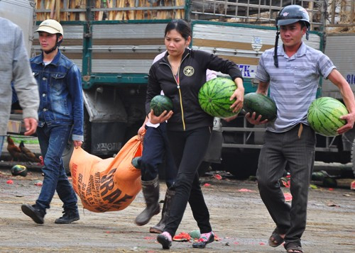 Cảnh người ôm, người khuân dưa diễn ra tấp nập từ sáng đến tối.