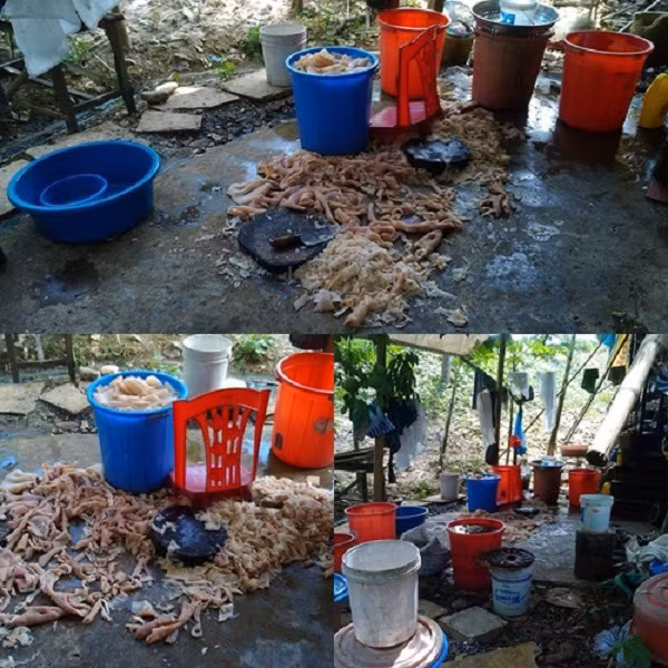 Quy trình sản xuất nem chua bẩn tại cửa hàng H.C Thanh Hóa đang gây xôn xao.