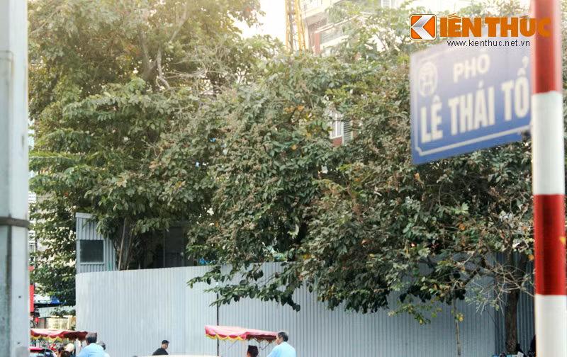 Công trình Trung tâm thông tin văn hóa sát hồ Gươm nằm trên khu đất có diện tích 242,2m2, tại ngã ba phố Lê Thái Tổ, Lương Văn Can và giáp Quảng trường Đông Kinh Nghĩa Thục, tiếp nối đầu hồi tòa nhà Long Vân - Hồng Vân. Công trình có tổng mức đầu tư 14 tỷ đồng.