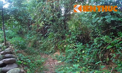 Một trong những hiện trường mà chị Mận bị nhóm trai làng hiếp dâm tập thể.