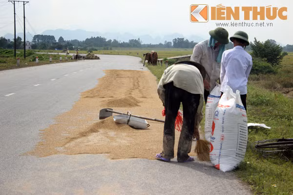 ...vô tư như sân nhà mình.