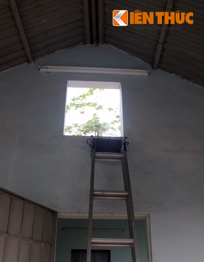 Ngoài 2 bên sân thượng tầng 5, giàn bầu hồ lô còn leo tít lên mái của ngôi nhà. Hình ảnh chụp lối lên mái nơi giàn bầu hồ lô sai trĩu.