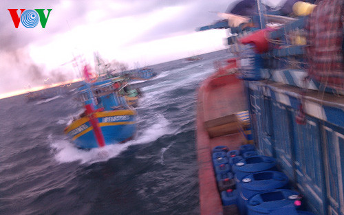 Tàu BTh 85736 của ông Nguyễn Văn Hồng (La Gi) bị các tàu giã cào truy đuổi.