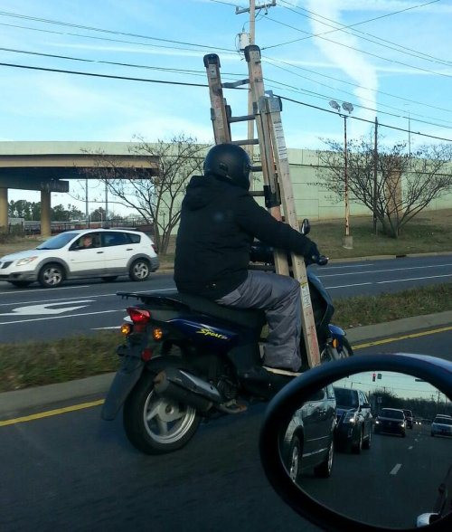 Hình ảnh vừa hài hước vừa nguy hiểm.