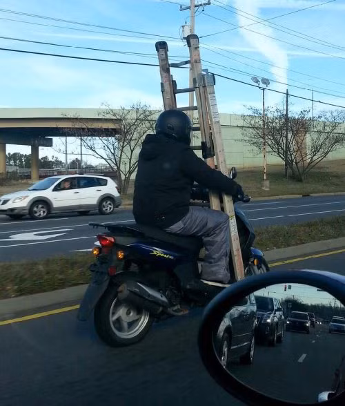 Hình ảnh vừa hài hước vừa nguy hiểm.