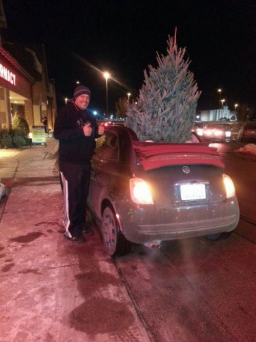 Hi sinh kính ô tô để rước cây thông về nhà.