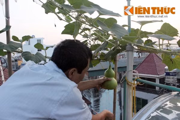 ... tỉ mỉ như một người nông dân thực thụ.