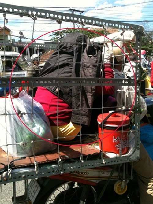 Tìm mọi biện pháp để tránh nắng.