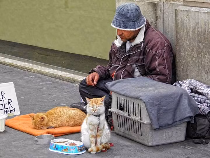 "Mèo không chê chủ nghèo". Bức ảnh chụp cảnh một người đàn ông đang phải ngồi ăn xin nơi góc phố cùng hai chú mèo. Ảnh được chia sẻ trên Facebook thu hút hơn 17.000 lượt like, gần 200 lượt chia sẻ.