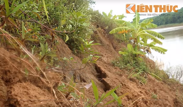 Nhiều diện tích đất sản xuất của một số hộ dân thôn Mai Châu bị sạt lở nghiêm trọng.