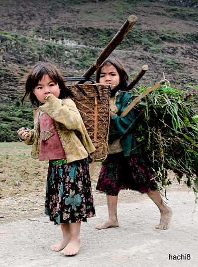 "Những đứa trẻ vùng cao Hà Giang". Dù còn bé nhưng những đứa trẻ nơi đây đã phải làm nhiều công việc nặng nhọc để phụ giúp cho gia đình. Không chỉ vậy, các bé phải sống trong hoàn cảnh túng thiếu về mọi mặt, nhất là cái chữ... Ảnh: Hachi8.