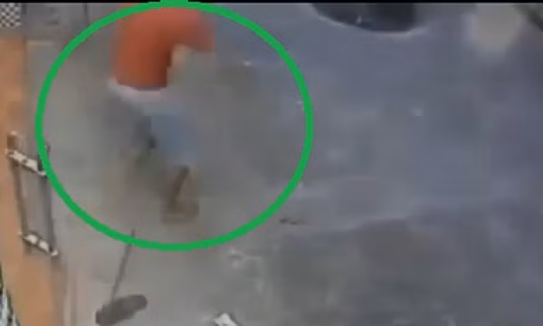 Khi khổ chủ phát hiện ra vụ việc thì đã quá muộn.