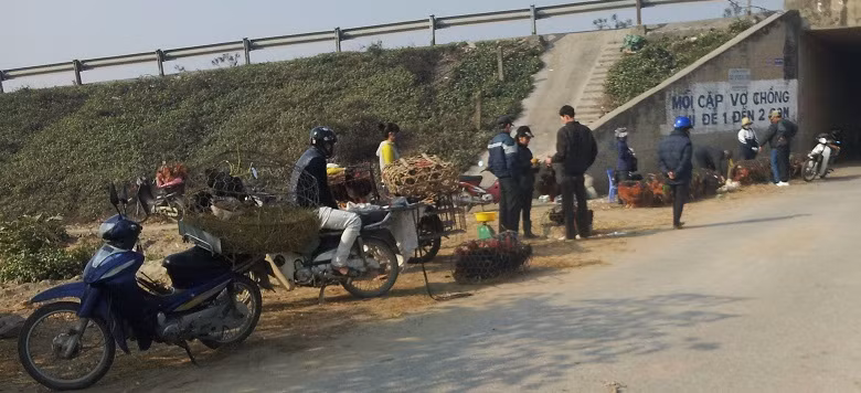 Moi lo “ga dau troc” tai cho Ha Noi