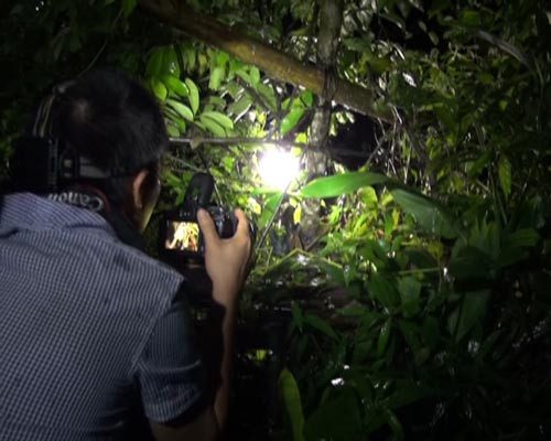 Tìm kiếm khắp nơi trong bụi rậm.